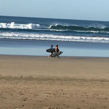 Palmeras
