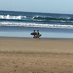 Palmeras
