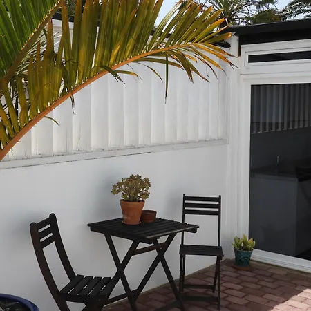 Palmeras Насарет